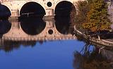 2-Ponte Sisto,3 novembre 2007
